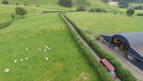 Granja-De-Ovejas-Machynlleth-En-Gales-Con-Un-Video-De-Un-Dron-Moviéndose-Hacia-La-Izquierda-Mientras-Una-Camioneta-Pasa