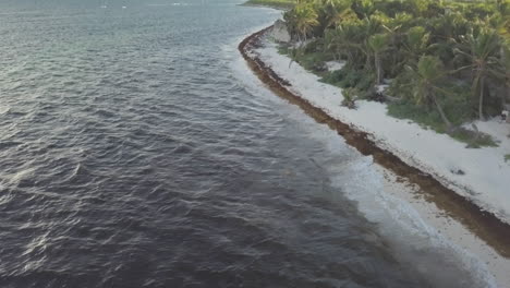 DJI-drone-rapid-fly-over-footage-over-Punta-Allen-Beach-coastline