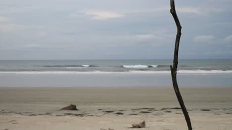 Einsamer-Strand-In-Brasilien-Horizont-Hintergrund-Stativ-Abgesperrt-Vordergrund-Fokus