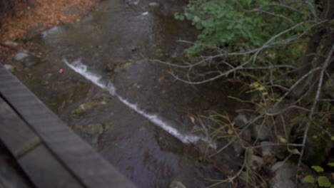 Blurred-Background-Looking-Down-at-a-River-in-Cullen-Gardens-in-Whitby,-Canada