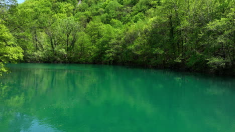 Un-Río-Verde-Claro-Fluye-A-Través-De-Un-Bosque-Lleno-De-Hojas-Frescas-De-Primavera,-Capturadas-Desde-Arriba