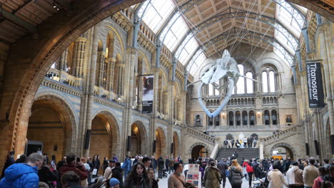 Menschenmassen-Besuchen-Die-Haupthalle-Des-Natural-History-Museum-In-London,-England