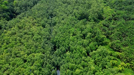 Luftaufnahme-Vom-Fluss-Malanza,-Die-Den-Grünen-Wald-Im-Süden-Von-Sao-Tome,-Afrika-Zeigt