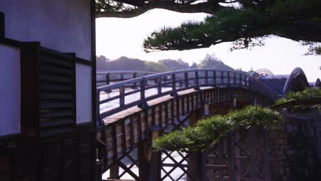 Puente-Arqueado-En-Iwakuni,-Kintaikyo-Enmarcado-Por-Pinos-Japoneses