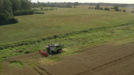 Harvester-combine-gathering-wheat-in-field