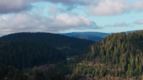 Drohnenschuss-Beim-Einfliegen-In-Richtung-Des-Redwood-Waldes-Im-Norden-Kaliforniens-Mit-Wolken