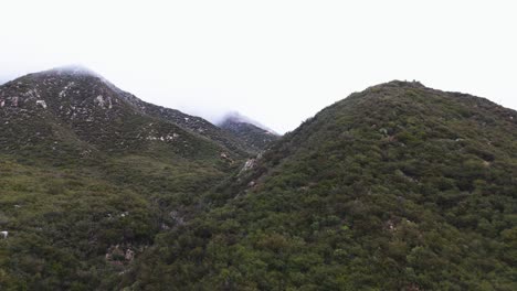 Fog-Creeping-Over-Densely-Forested-Mountains