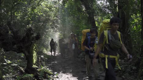 Un-Grupo-De-Personas-Caminando-En-El-Bosque-Tropical.