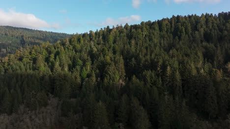 Drone-aerial-shot-panning-across-the-redwood-national-park-forest-in-California
