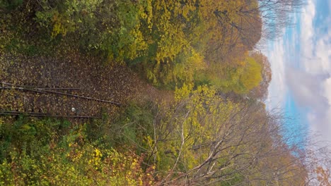 Railroad-tracks-curving-through-colorful-autumn-trees,-Stockholm,-Sweden,-vertical-shot