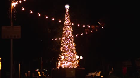 tall-lit-warm-white-christmas-tree-in-town-square-at-night