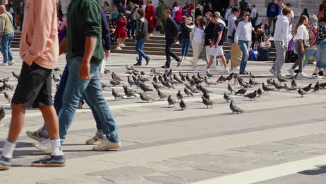 Bulliciosa-Plaza-De-Milán-Con-Peatones-Y-Palomas