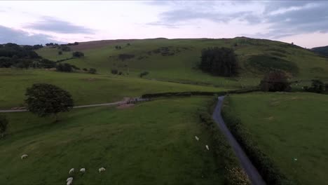 Granja-De-Ovejas-Machynlleth-En-Gales-Con-Video-De-Drone-Moviéndose-Hacia-Abajo-Y-Hacia-Adelante