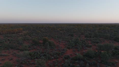 Drone-clip-over-wild-Australian-outback-at-early-morning
