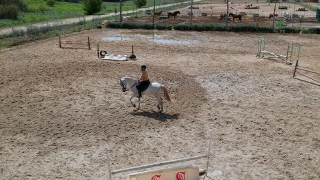 A-sunny-day-in-a-riding-center-with-beautiful-horses-and-a-jockey