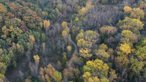 Aerial-view-of-Green-Bay-Wisconsin-Baird-Creek-Park-trail-through-forest