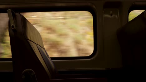 empty-train-seat-next-to-window-travelling-past-bushland-at-day