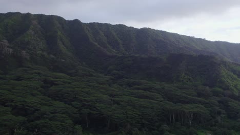 Imágenes-De-Drones-De-La-Región-Montañosa-De-Oahu-Hawai-Cubierta-De-Una-Densa-Selva-Tropical-Verde-Al-Final-De-La-Tarde