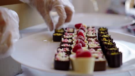 Primer-Plano-De-Un-Proveedor-De-Catering-Con-Guantes-De-Plástico-Preparando-Una-Mesa-De-Buffet-De-Postres.