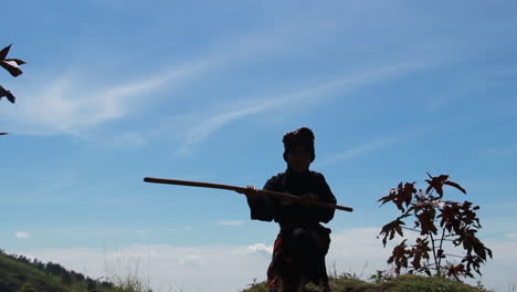 the-silhouette-of-a-young-woman-practicing-martial-arts-on-a-hill-with-a-horse-background