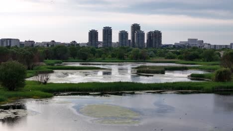 Cinematic-Aerial-Footage:-Springtime-Over-Vacaresti-Delta's-Lakes,-Birds-in-Flight,-Bucharest,-Romania