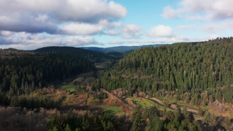 Wide-angle-drone-shot-of-northern-California-redwood-forest-on-a-nice-day