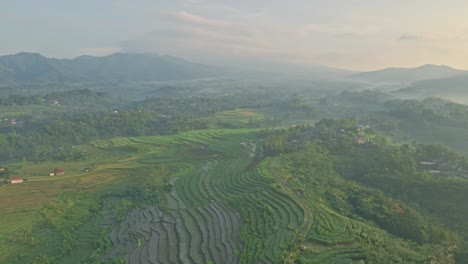 Misty-landscape-and-rice-terraces-in-Indonesia,-aerial-drone-view