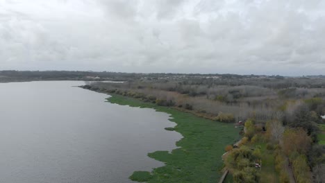 Aerial-view-of-a-lake-shore-full-of-water-hyacinths