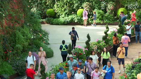 Menschen,-Die-Die-Beliebte-Touristenattraktion-Singapurs-Besuchen,-Das-Größte-Glasgewächshaus-Der-Welt,-Bekannt-Als-Flower-Dome,-Eingebettet-In-Den-üppigen-Wintergarten-Der-Gardens-By-The-Bay,-Aufnahme-Mit-Schwenkfunktion