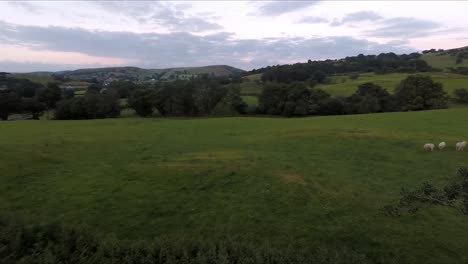 Granja-De-Ovejas-Machynlleth-En-Gales-Con-Video-De-Drone-Moviéndose-Hacia-Arriba-Y-Hacia-Adelante