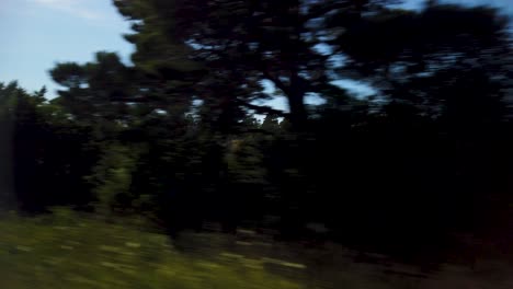 Sunny-day-on-Gotland-with-trees-and-clear-skies-from-moving-car,-blurry-foreground-showing-motion