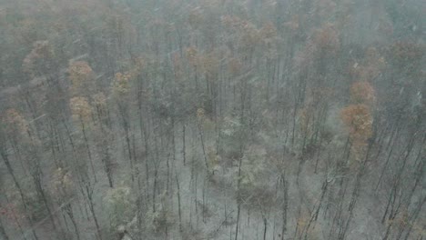 Aerial-of-a-strong-snow-storm-over-a-moody-autumnal-forest