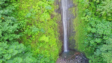 stationary-shot-of-Mao'a-Falls-on-the-island-of-Oahu-Hawaii-with-the-dense-green-rainforest-surrounding-the-rock-face