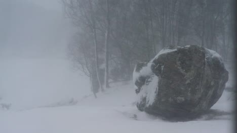Tormenta-De-Nieve-En-Gulen,-Noruega