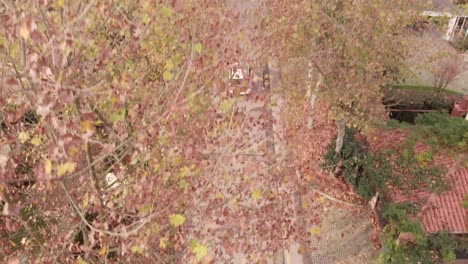 Auto-Fährt-Durch-Buntes-Herbstlaub,-Herbstblätter,-Bäume
