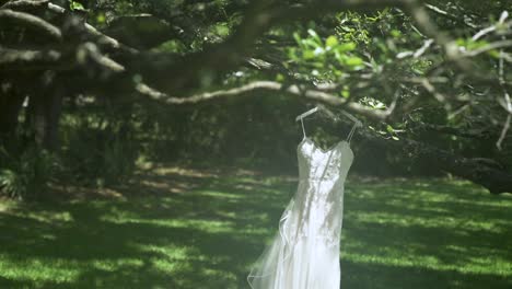 Wedding-dress-hanging-from-tree-in-nature-blows-lightly-in-wind