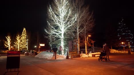 Bäume-Mit-Weihnachtsbeleuchtung-In-Den-Verschneiten-Straßen