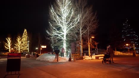 Árboles-Con-Luces-Navideñas-En-Las-Calles-Nevadas.