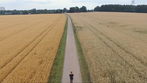 Luftaufnahme-Eines-Jungen,-Der-Bei-Sonnenuntergang-In-Einem-Getreidefeld-In-Der-Nähe-Des-Waldes-In-Deutschland-Mit-Glattem-Weizen-Spaziert