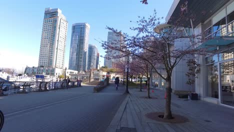 Coal-Harbour-Frühling,-Vancouver-BC-Kanada