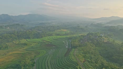 Zauberhafte-Landschaft-Indonesiens-Mit-Reisfeldern-Und-Nebel,-Luftaufnahme