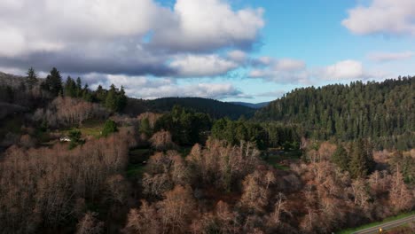 Drone-shot-flying-up-and-over-a-hill-revealing-mountains-of-redwood-forest