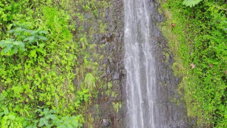 Drohnenaufnahmen-Der-Maoa-Falls-Auf-Der-Insel-Oahu,-Hawaii,-In-Der-Nähe-Von-Waikiki.-Der-Hohe-Wasserfall-Fließt-Die-Felswand-Hinunter-Durch-Den-Regenwald-Und-Beginnt-Am-Rand,-Der-Sich-Bis-Zum-Tauchbecken-Neigt.