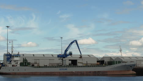 Unloading-timber-from-cargo-ship