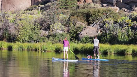 Zwei-Paddle-Boarder-Fahren-Den-Deschutes-River-In-Der-Nähe-Des-Riverbend-Parks-Hinunter