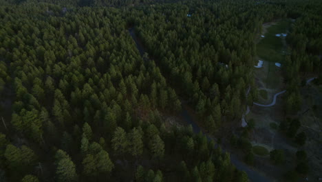 Aerial-View,-Conifer-Forest-Between-State-Road-and-Hidden-Residential-Community-in-Landscape-of-Arizona-USA-at-Sunset,-Revealing-Drone-Shot