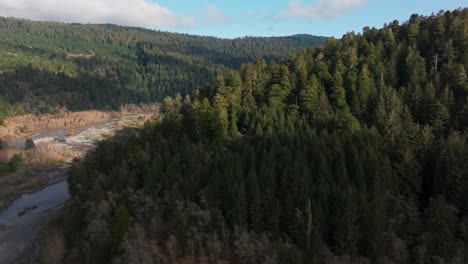 Drone-shot-flying-over-a-forest-of-redwood-trees-in-northern-California