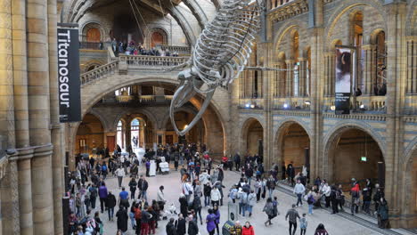 Crowds-Of-Tourist-Visiting-The-Natural-History-Museum-In-South-Kensington,-London,-England,-UK