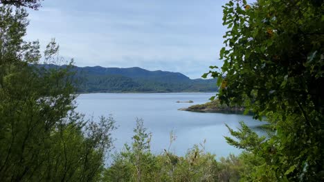 View-of-Lake-Waikaremoana-and-mountains-through-lush-green-bushes-and-trees
