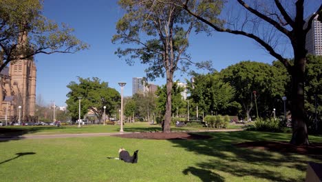 Female-office-professional-laying-and-reading-on-the-grass-in-front-of-St